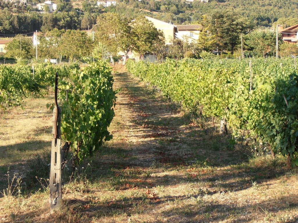 Agriturismo Ponte Di Riocchio Губбио Экстерьер фото